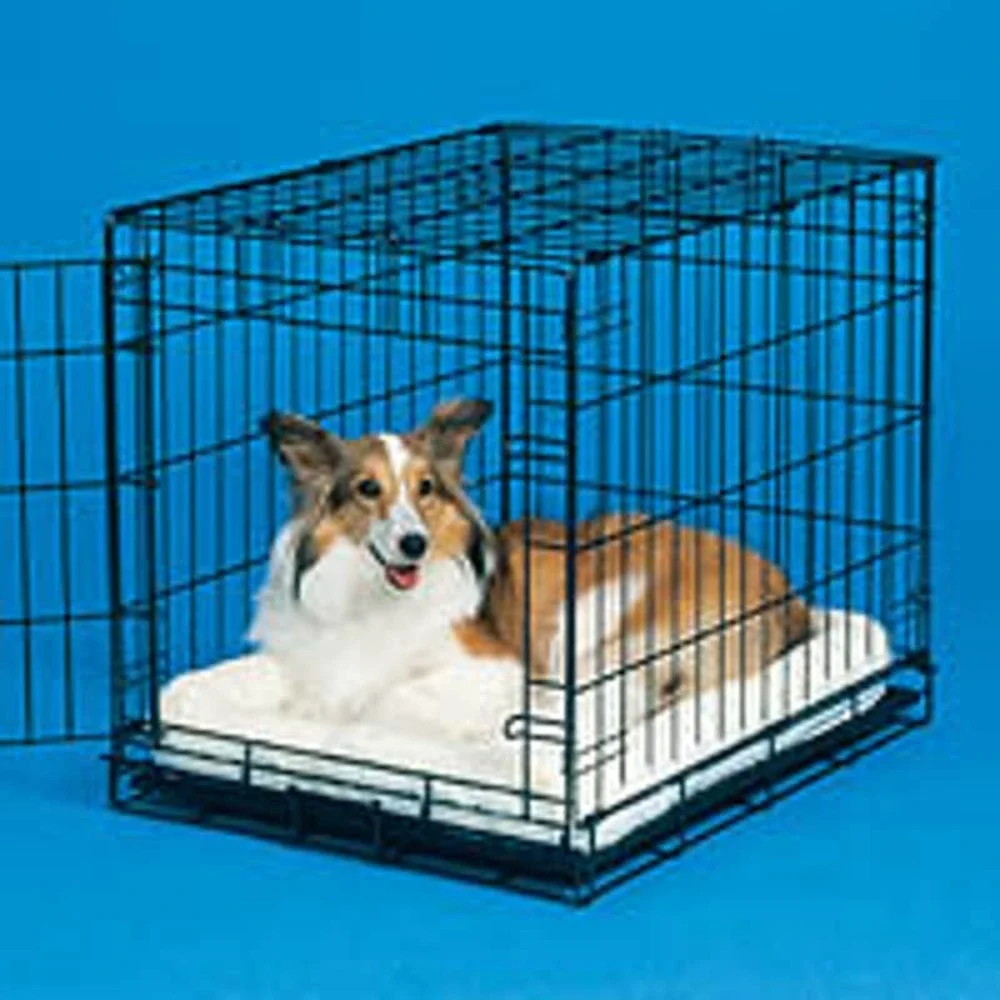 Quiet Time Bed